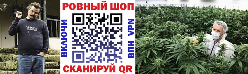 Хочу наркоту Куртамыш Alpha PVP  Псилоцибиновые грибы  Амфетамин  МАРИХУАНА  Меф мяу мяу 