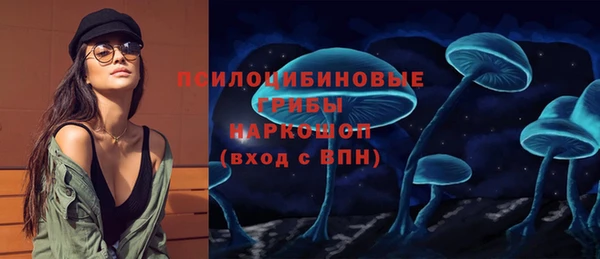 хмурый Аркадак