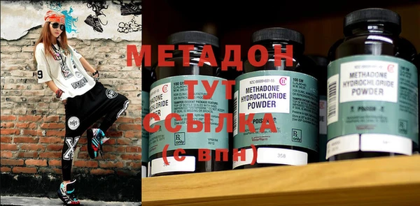 хмурый Аркадак