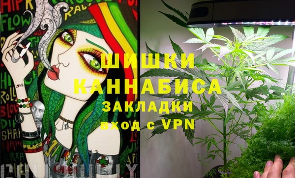 ПСИЛОЦИБИНОВЫЕ ГРИБЫ Армянск