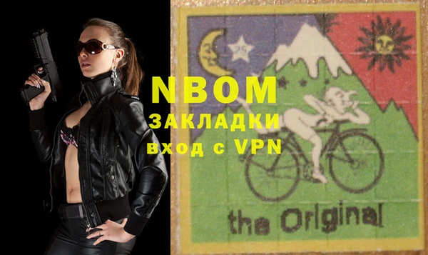 хмурый Аркадак