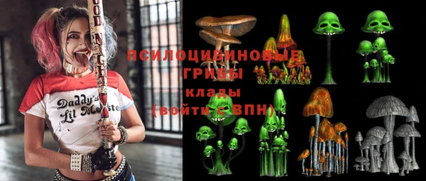 хмурый Аркадак