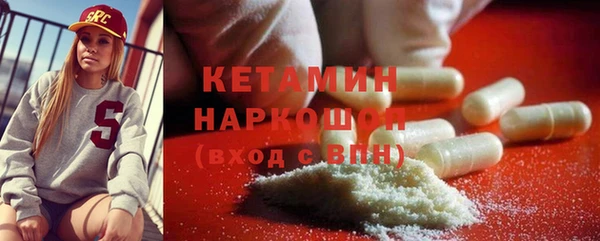 хмурый Аркадак