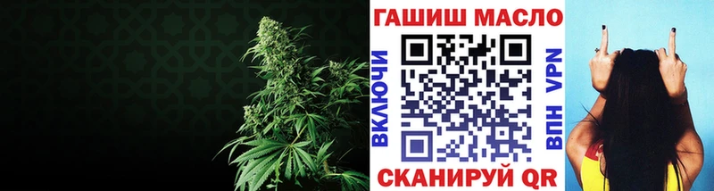 где найти Куртамыш hydra вход ТГК концентрат