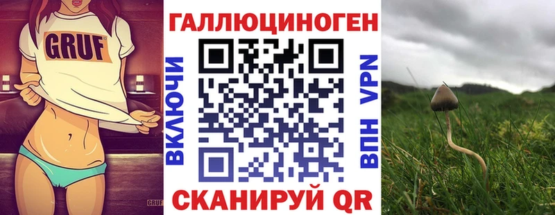 Псилоцибиновые грибы Cubensis  Куртамыш 